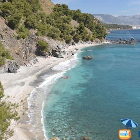 Loft Climatise "La Pinede", 50 M2, Tres Calme, 5 Mn A Pied Des Plages, Lit King Size La Seyne-sur-Mer Dış mekan fotoğraf