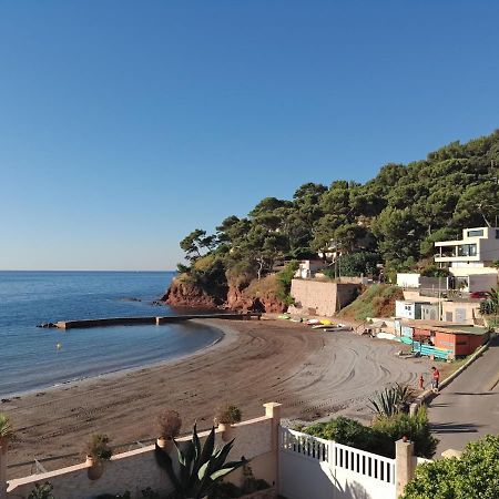 Loft Climatise "La Pinede", 50 M2, Tres Calme, 5 Mn A Pied Des Plages, Lit King Size La Seyne-sur-Mer Dış mekan fotoğraf