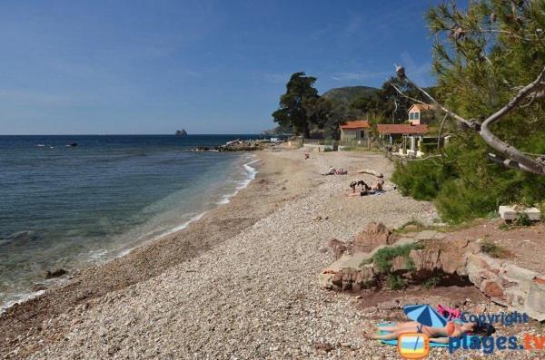 Loft Climatise "La Pinede", 50 M2, Tres Calme, 5 Mn A Pied Des Plages, Lit King Size La Seyne-sur-Mer Dış mekan fotoğraf