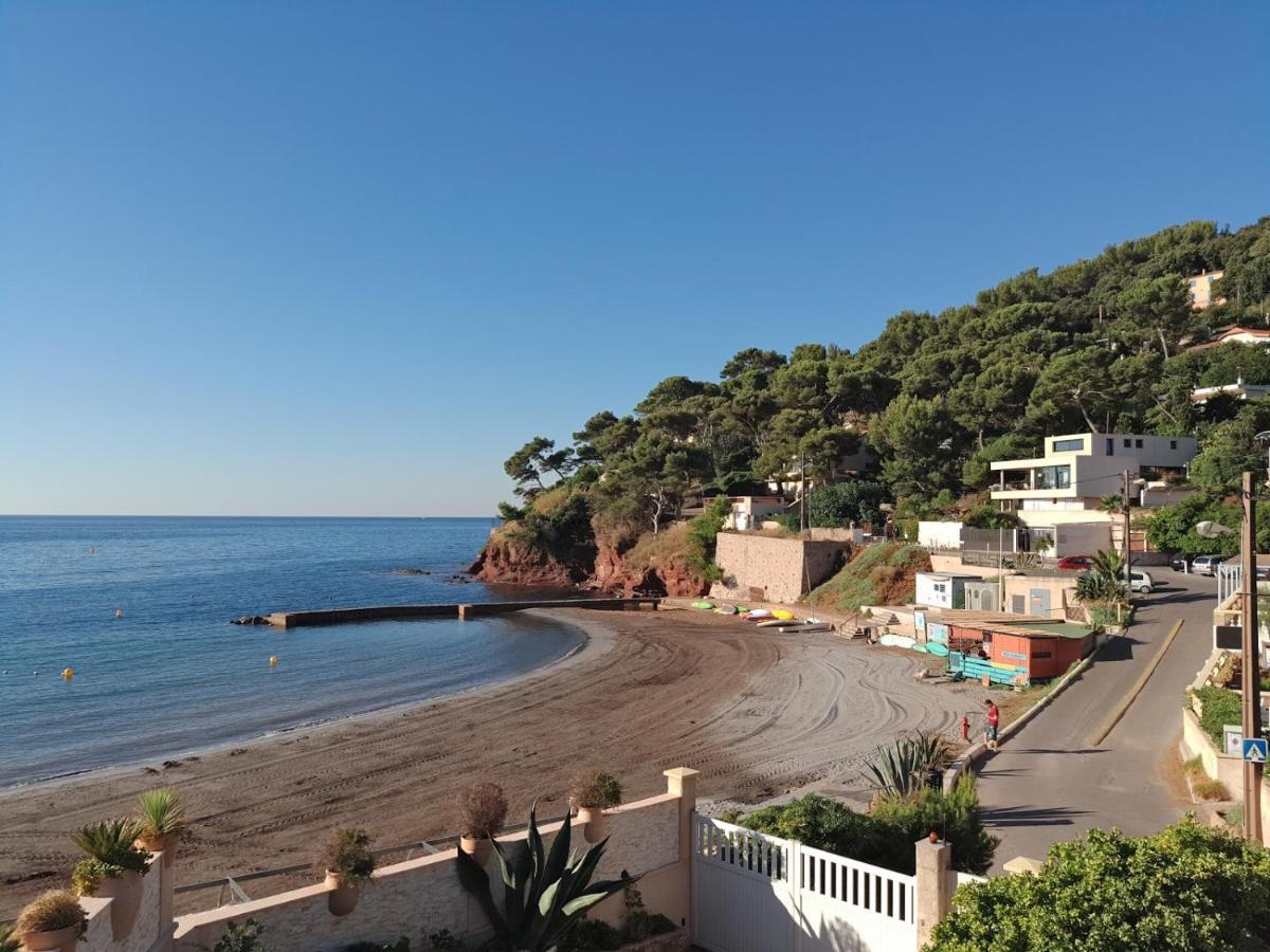 Loft Climatise "La Pinede", 50 M2, Tres Calme, 5 Mn A Pied Des Plages, Lit King Size La Seyne-sur-Mer Dış mekan fotoğraf